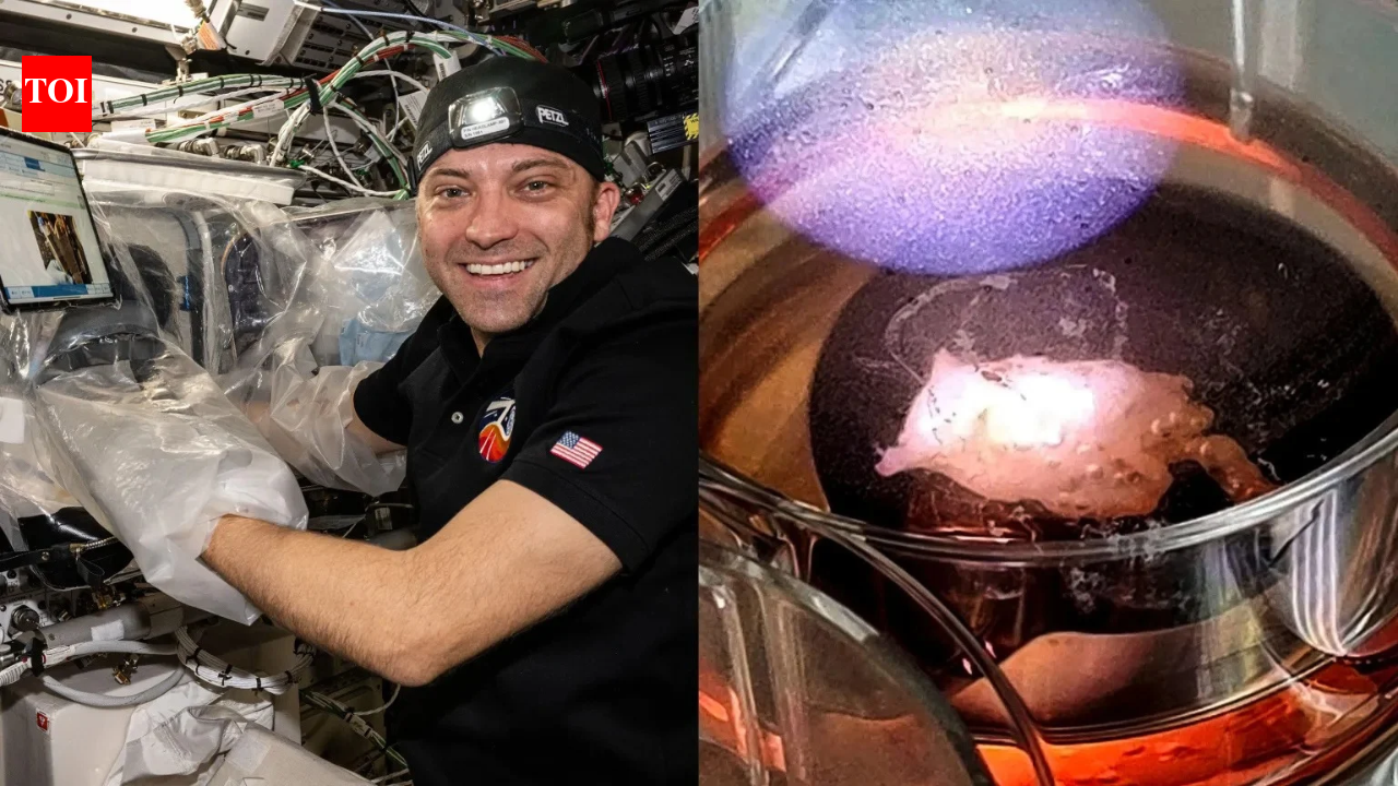 In 2018, a Russian bioprinter made human cartilage tissue in orbit; years later, NASA printed human heart tissue on the ISS |