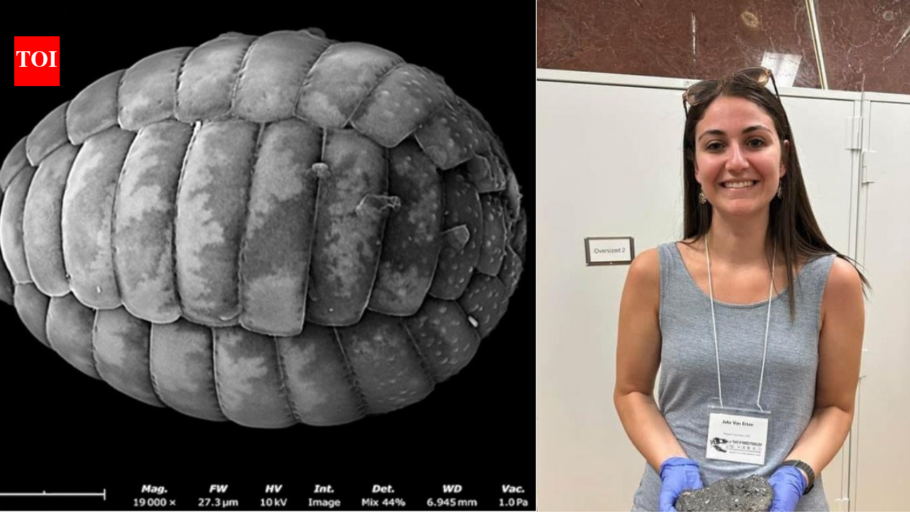 A scientist turned an $80 motel room into a makeshift lab; then she discovered two new species of microscopic amoebae |