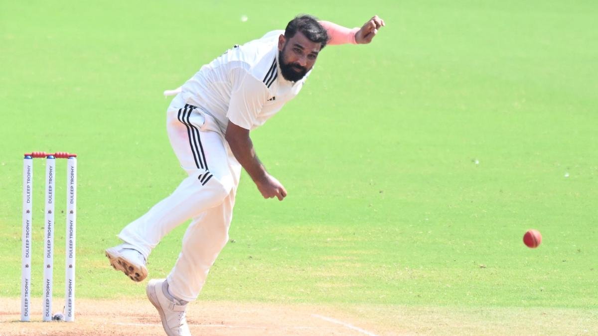 When the game gets challenging, Mohammed Shami steps up to remind how to keep fighting
