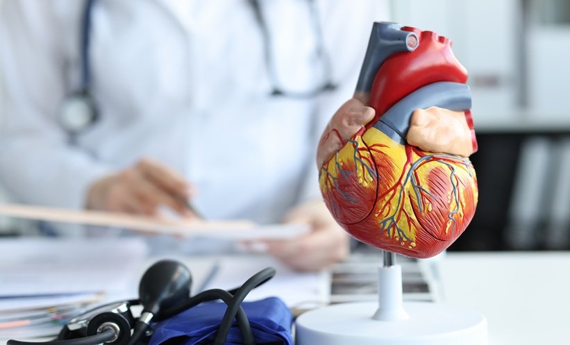 Ex Vivo Cardiac Simulators and Personalised Care – EMJ