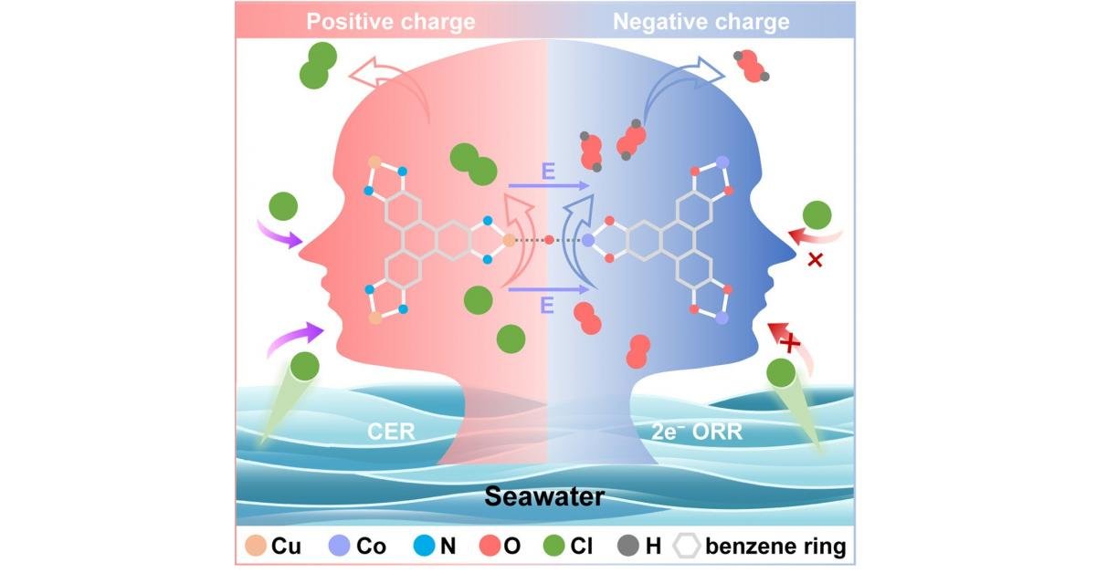 Janus-style catalyst turns seawater into two valuable chemicals at once