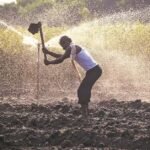 भारतीय रिजर्व बैंक की रिपोर्ट में कहा गया है कि भारत की ग्रामीण अर्थव्यवस्था मानसून के झटकों से उबर रही है कृषि