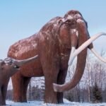 Using AI models, scientists are trying to do a Jurassic Park; bring back to Earth extinct Grey Wolf pups and Woolly mammoths