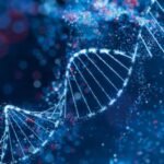 Most people may have a high genetic risk for diseases such as diabetes, heart disease and schizophrenia, study finds |