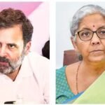 टाटा की टिप्पणी पर सीतारमण ने राहुल की आलोचना की, अविश्वास फैलाने के खिलाफ चेतावनी दी | राजनीति समाचार