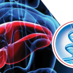 Targeting the Disease Mechanism in PFIC, With Hisamitsu Hayashi, PhD