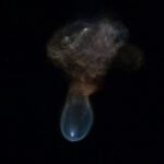 SpaceX launches NASA science and cargo to the International Space Station – Spaceflight Now