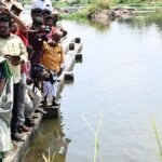 सौम्या अंबुमणि ने तमिराबरानी की रक्षा के लिए ठोस प्रयासों का आह्वान किया