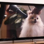 LG’s RGB LED TV is good for certain situations, but an OLED is better