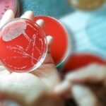 Antimicrobial Resistance Costs Trillions Globally