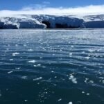 Decline in Antarctic sea ice has increased salinity: Study