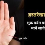 शुक्र पर्वत पर 3 निशान आकर्षक व्यक्तित्व का संकेत, ऐसे लोग अपनी बातों से जीत सकते हैं सबका दिल