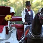 न्यूयॉर्क शहर ने सुरक्षा और दुरुपयोग संबंधी चिंताओं के कारण घोड़ा-गाड़ी पर प्रतिबंध लगा दिया है