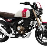 होंडा CB250SS: 249cc इंजन के साथ स्क्रैम्बलर कॉन्सेप्ट चीन में जेन Z राइडर्स को लक्षित करता है