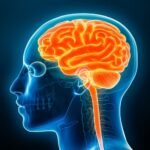 Artificial Intelligence in CNS Autoimmune Diseases