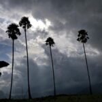 बंगाल की खाड़ी का मौसम तंत्र 1 नवंबर से केरलम में फिर से बारिश शुरू करने के लिए तैयार है