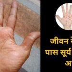 हथेली की इस जगह से शुरू हो सूर्य रेखा तो कला में कमाते हैं नाम, सामुद्रिक शास्त्र में छिपे हैं सफलता और यश के संकेत