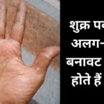 उभरा हुआ शुक्र पर्वत देता है आकर्षक व्यक्तित्व, प्रेम और रिश्तों का संकेत? हस्तरेखा शास्त्र से जानें हथेली के इस हिस्से का रहस्य