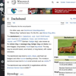 Zen Browser is the Arc replacement I was looking for