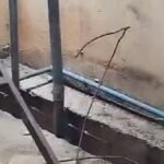 मायलापुर एमआरटीएस स्टेशन के एलिवेटेड सेक्शन में गैप से गिरने से महिला की मौत हो गई